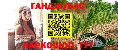 тгк Гусь-Хрустальный