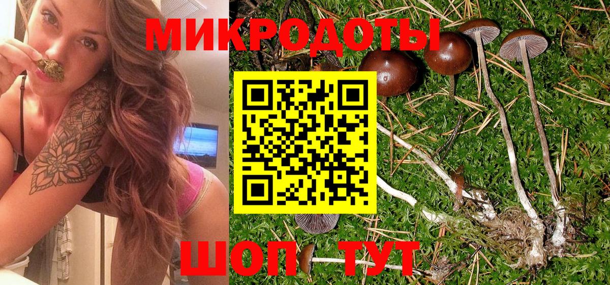 Урюпинск  Псилоцибиновые грибы Magic Shrooms  Вход с VPN 