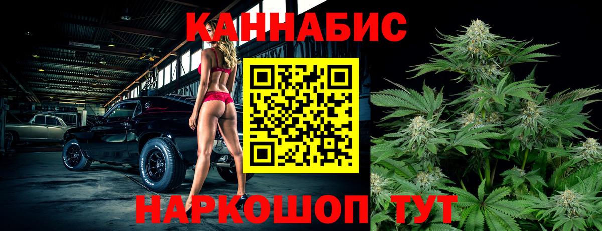 Урюпинск  Марихуана план  Вход с VPN  МАРИХУАНА ГИДРОПОН  Бошки Шишки Amnesia 